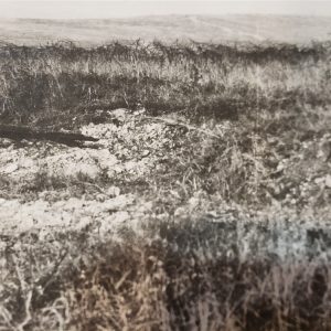 photo-of-death-valley-in-1918-with-barb-wire-in-the-background-signal-large-photo