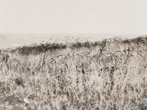 photo-of-death-valley-in-1918-with-barb-wire-in-the-background-signal-large-photo