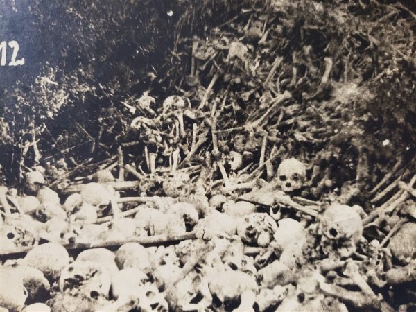 field-of-skeletal-remains-in-battlefield-most-likely-british-or-french-since-the-post-card-is-german