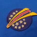 patch 48th fighter intercept