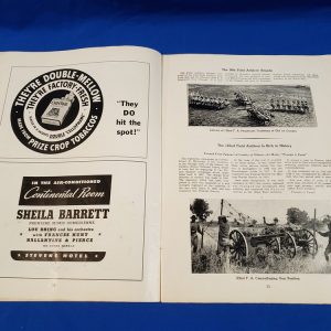 33rd division book