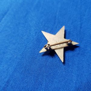 insignia-gen-staff-general-single-pin-back-sterling-aeco