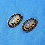 dui-6th-combat-bn-wwii-back-pin-meyer-matched-set-enamel