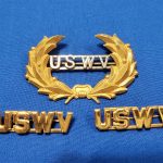 uswv-cap-and-collar-insignia-pin-back-wreath-worn-by-veterans-group