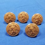 buttons-wwii-wac-tan-summer-uniform-type-set-of-5