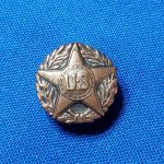 discharge-star-lapel-device-screw-back-wwi-bronze-button