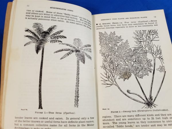 tm10-420-emergency-emer-food-1943-tropical-ways-survival-if-stranded-plants-tree-leaf-page-lilly