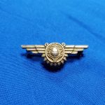 wings-wwii-navy-naval-flight-surgeon-gold-vanguard-back-pin