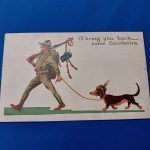 post-card-wwi-souvenir-spike-helmet-dog-31st-engineers-1918-soldier-back