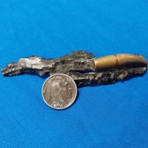 world-war-one-shrapnet-trench-art-section-with-applied-german-bullet-4-inches-long-excellent-condition-dated-1914