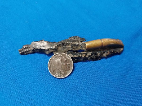 world-war-one-shrapnet-trench-art-section-with-applied-german-bullet-4-inches-long-excellent-condition-dated-1914