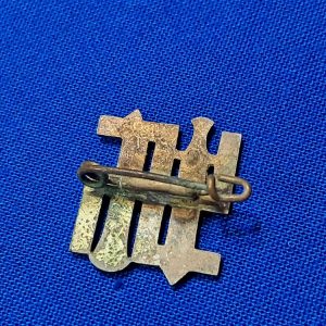 world-war-two-german-reunify-pin-for-the-saar-territory-1934-1935-original-clasp-on-back-zinc